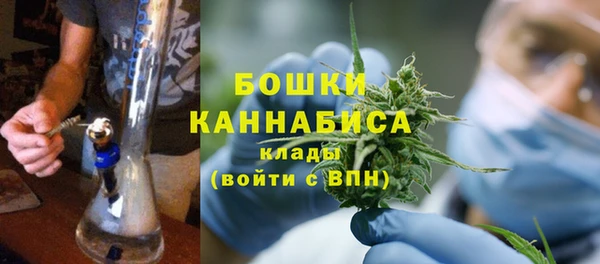 бошки Лагань