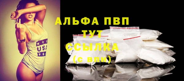 гидра Ладушкин