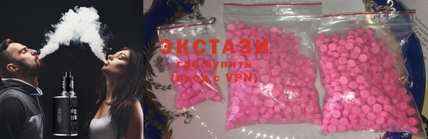 стаф Вязьма