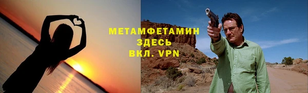 стаф Вязьма