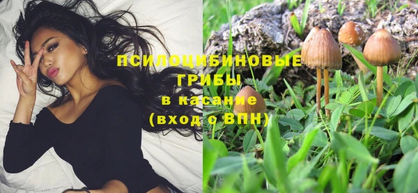 МДМА Вяземский