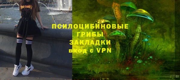 2c-b Гусиноозёрск