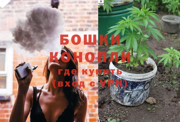 стаф Вязьма