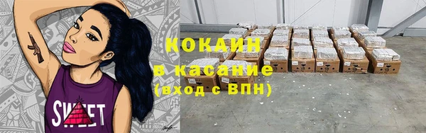 стаф Вязьма