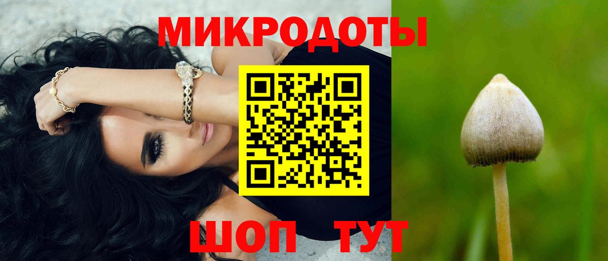 Псилоцибиновые грибы мицелий Кашира