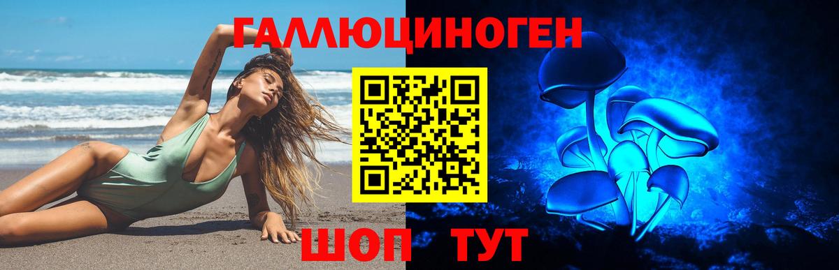 Псилоцибиновые грибы GOLDEN TEACHER  Галлюциногенные грибы мицелий  Кашира 