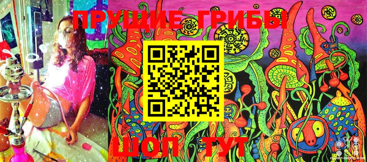 где купить наркоту  Галлюциногенные грибы Cubensis  Вход с VPN  Кашира 